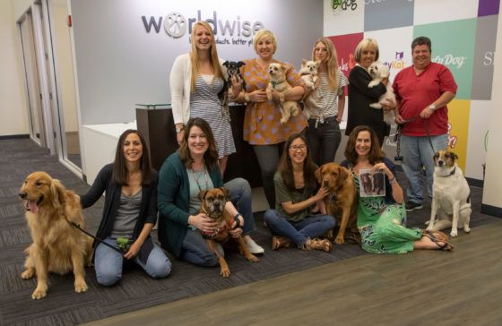 a group of women with dogs